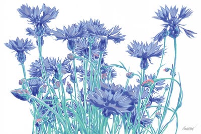 Cornflower Bouquet by Vitali Komarov art print