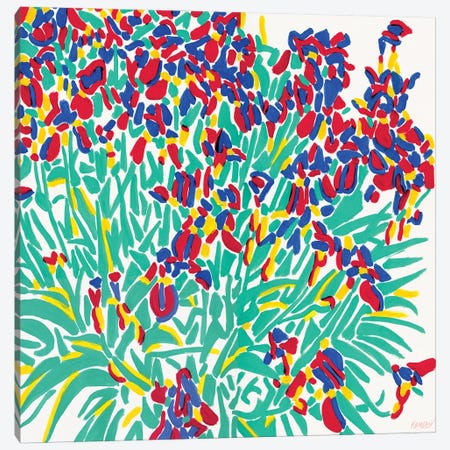 Colorful Iris Flowers Canvas Print #VTK252} by Vitali Komarov Canvas Print