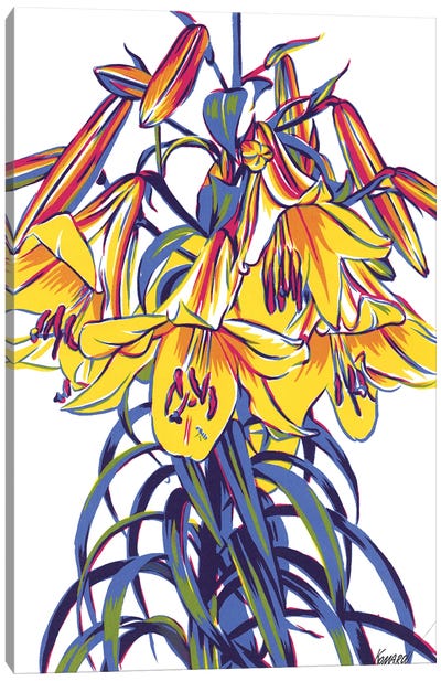 Lily flowers Canvas Art Print - Lily Art