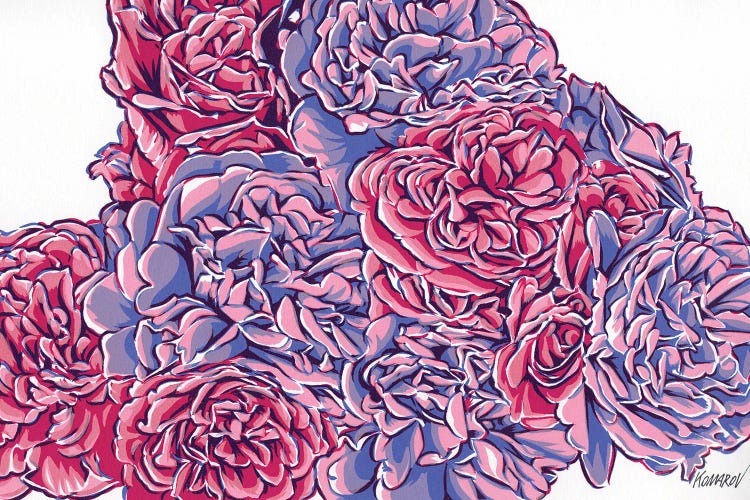 Pink Roses