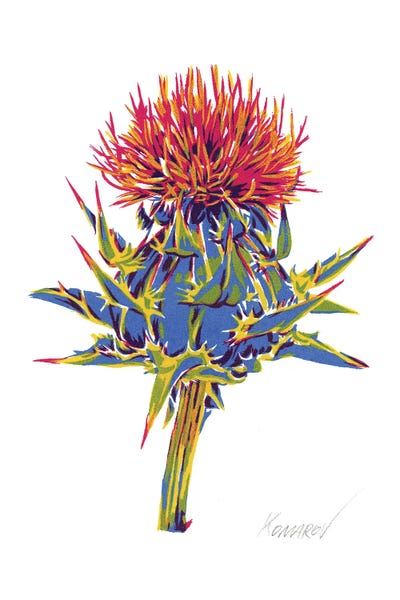 Red Flower by Vitali Komarov canvas print