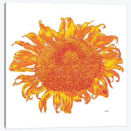Big Sunflower Canvas Print #VTK259} by Vitali Komarov Canvas Art Print