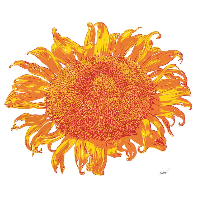 Big Sunflower