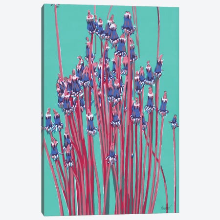 Dandelion Flowers Canvas Print #VTK264} by Vitali Komarov Canvas Art Print
