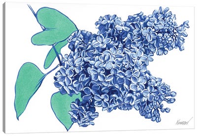 Blue Lilac Flower Canvas Art Print - Lilac Art