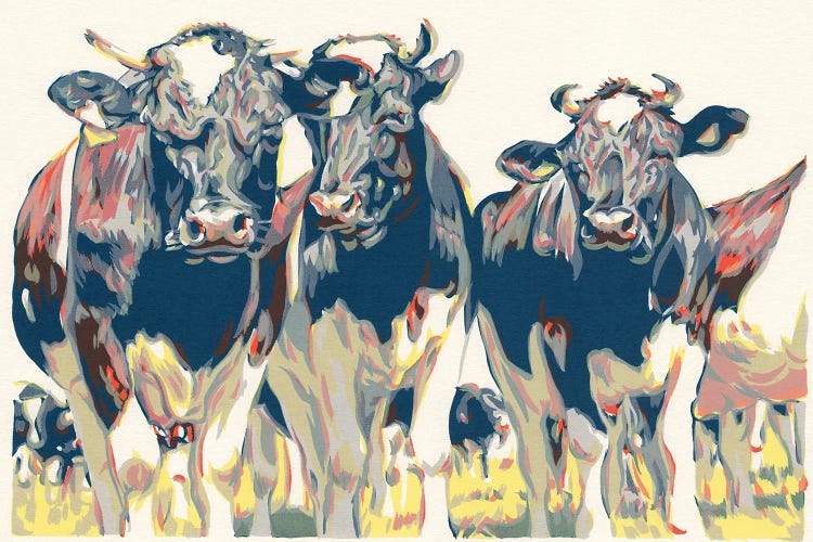 Herd Of Bulls