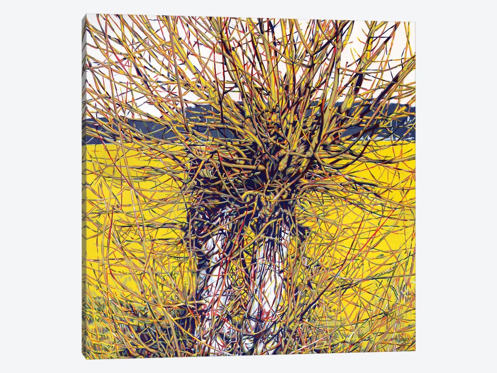 Old Willow by Vitali Komarov 1-piece Canvas Art Print