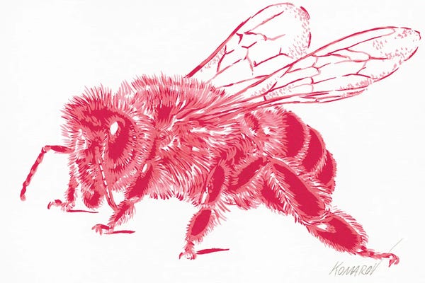 Bees: Queen Bee by Vitali Komarov