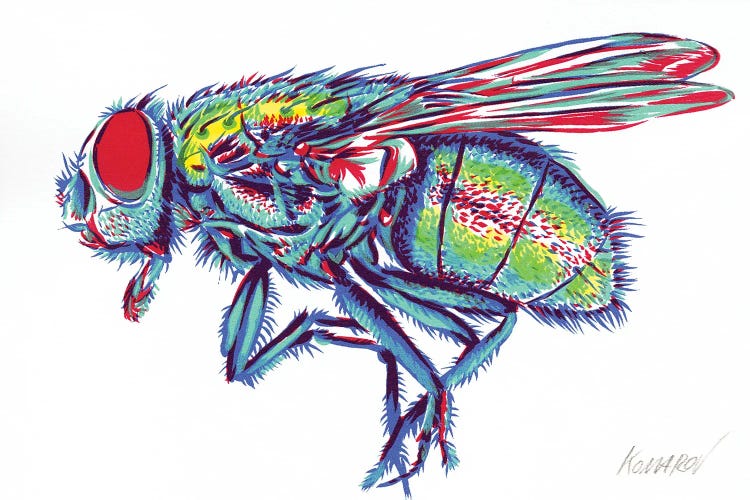 Green Fly