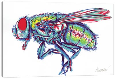 Green Fly Canvas Art Print - Vitali Komarov