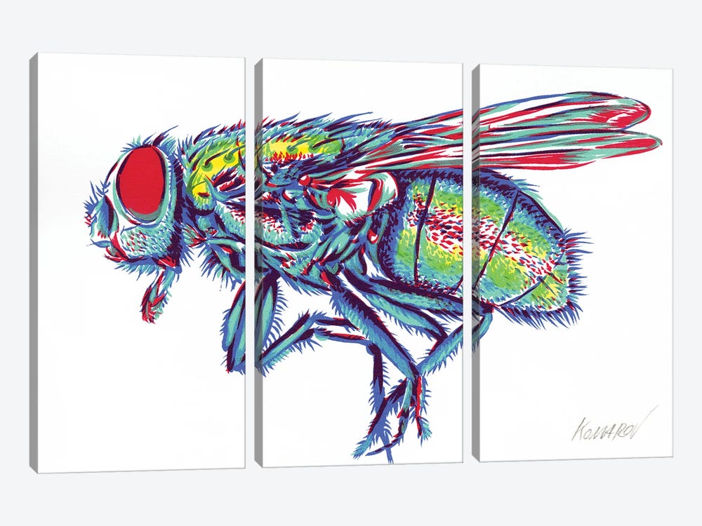 Green Fly by Vitali Komarov 3-piece Art Print