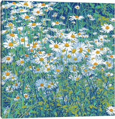 Daisy Meadow Canvas Art Print - Daisy Art