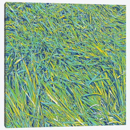 Grass Canvas Print #VTK299} by Vitali Komarov Canvas Art Print
