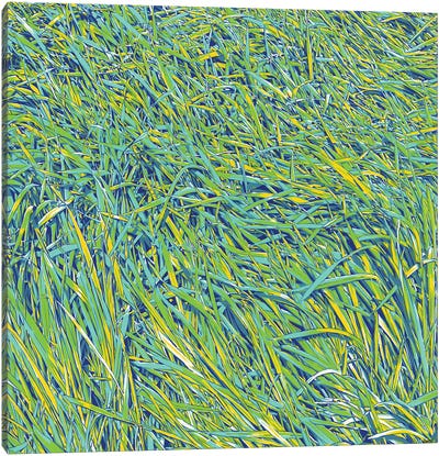Grass Canvas Art Print - Vitali Komarov