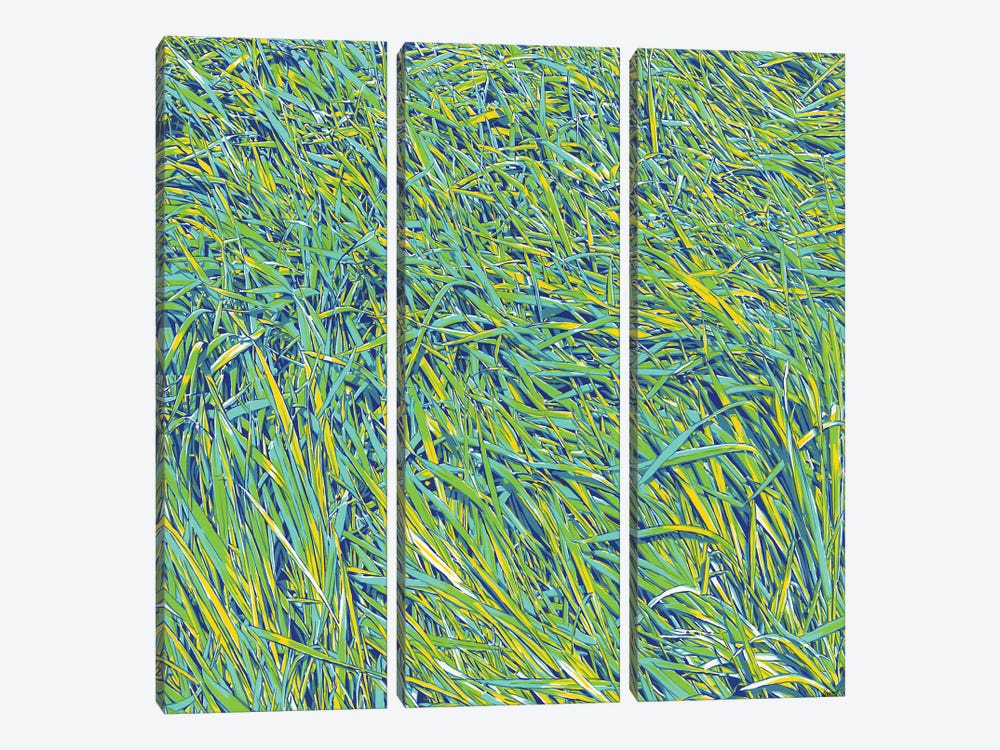 Grass by Vitali Komarov 3-piece Canvas Art