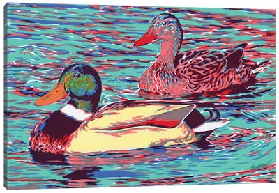 Mallard Duck Couple Canvas Art Print - Duck Art