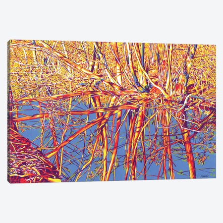Floodplain Forest And River Canvas Print #VTK321} by Vitali Komarov Canvas Art Print