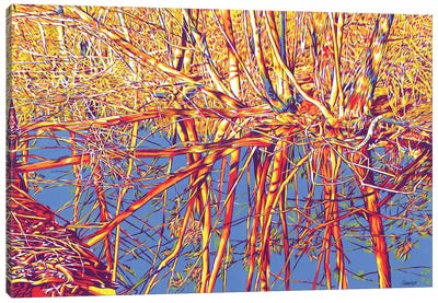 Floodplain Forest And River Canvas Art Print - Vitali Komarov