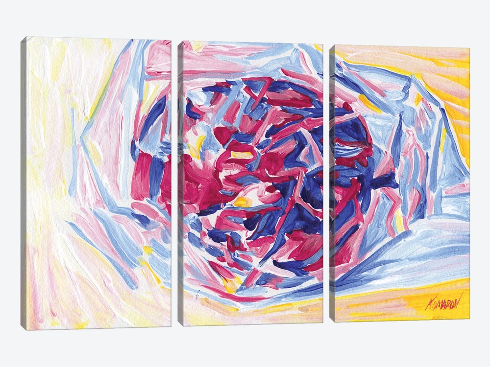 Apple In A Bag by Vitali Komarov 3-piece Canvas Print