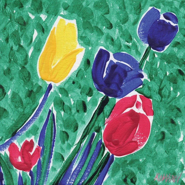 Colorful Tulips