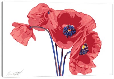 Poppies Canvas Art Print - Vitali Komarov
