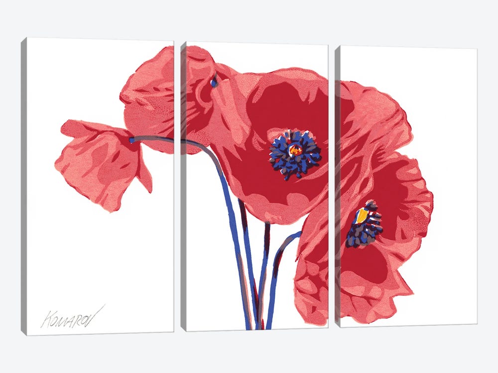 Poppies by Vitali Komarov 3-piece Canvas Artwork