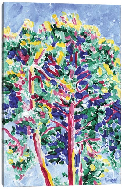 Pine Tree Canvas Art Print - Vitali Komarov