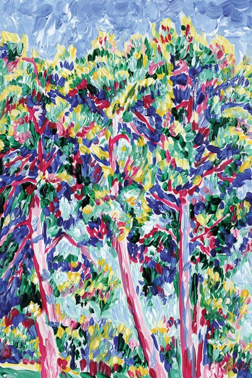 Pine Trees Landscape
