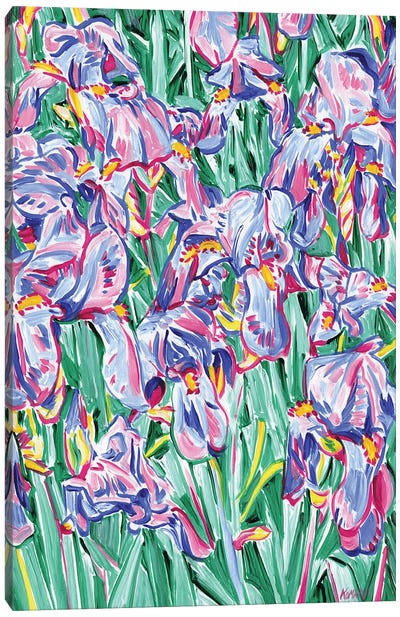 Iris Meadow Canvas Art Print - Iris Art