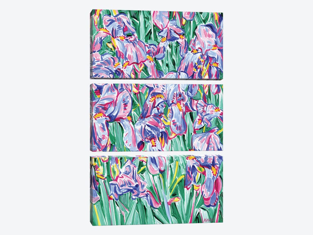 Iris Meadow by Vitali Komarov 3-piece Canvas Print