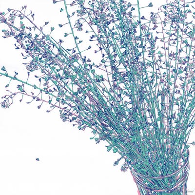 Wild Flowers by Vitali Komarov framed wall art