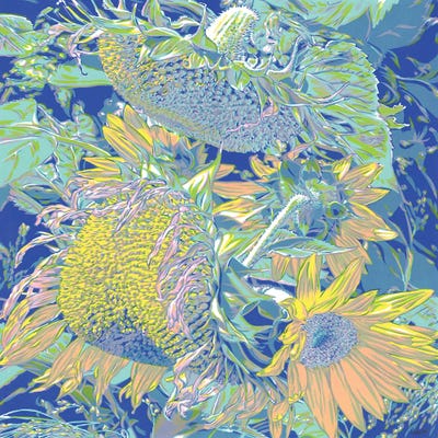 Field Of Sunflowers by Vitali Komarov framed wall art