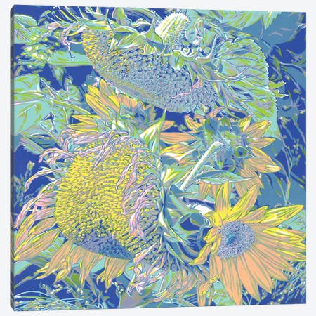 Field Of Sunflowers Canvas Print #VTK376} by Vitali Komarov Art Print