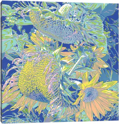 Field Of Sunflowers Canvas Art Print - Vitali Komarov