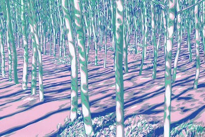 Aspen Forest by Vitali Komarov gallery poster