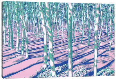 Aspen Forest Canvas Art Print - Aspen and Birch Trees