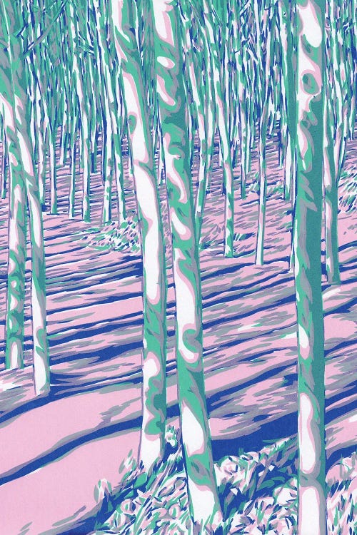 Aspen Trees