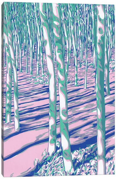 Aspen Trees Canvas Art Print - Vitali Komarov