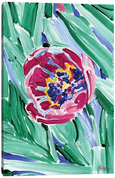 Pink Tulip Canvas Art Print - Vitali Komarov
