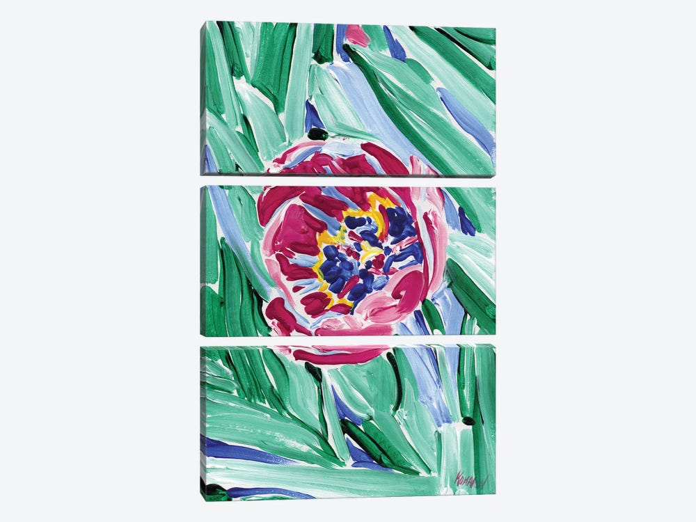 Pink Tulip by Vitali Komarov 3-piece Canvas Art Print