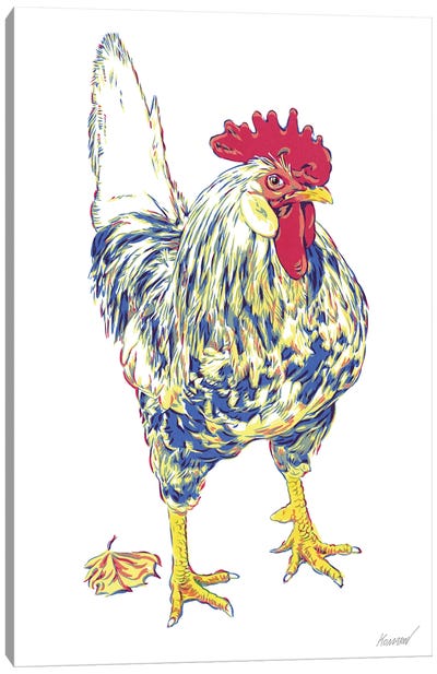 Young Rooster Canvas Art Print