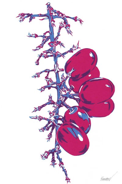 Grapes: Grape by Vitali Komarov