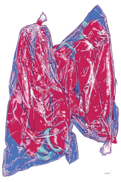 Peppers: Bag Of Paprikas by Vitali Komarov