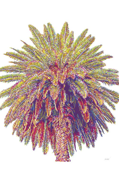 Palm