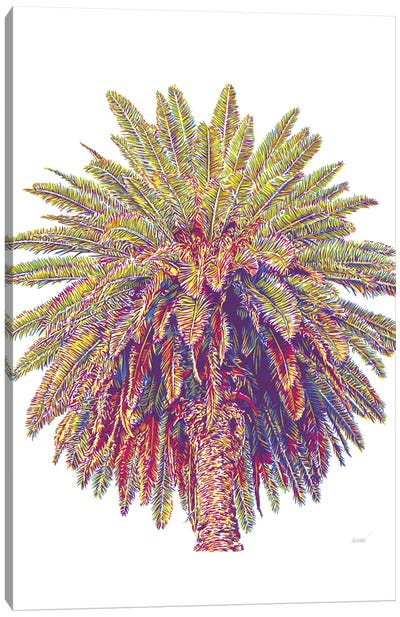 Palm Canvas Art Print