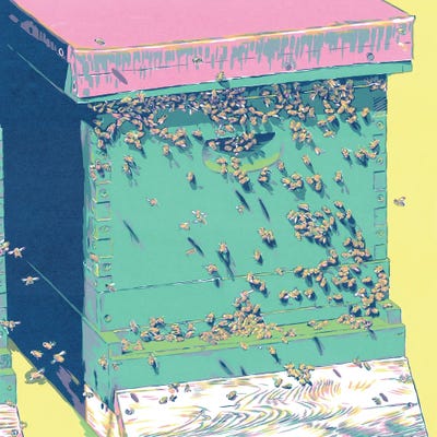 Colorful Beehive by Vitali Komarov framed wall art