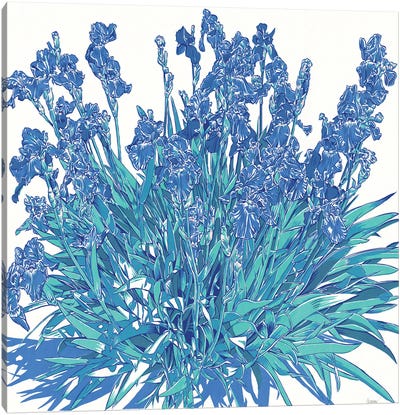 Blue Iris Flowers Canvas Art Print - Iris Art