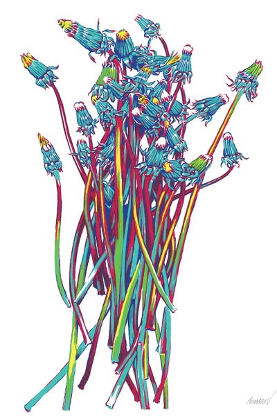 Dandelions: Summer Dandelions by Vitali Komarov