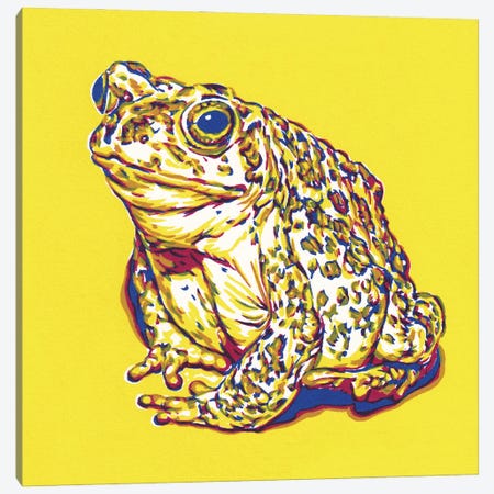 Frog Canvas Print #VTK471} by Vitali Komarov Canvas Art Print