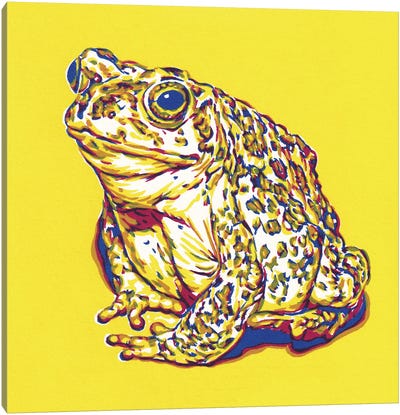Frog Canvas Art Print - Vitali Komarov